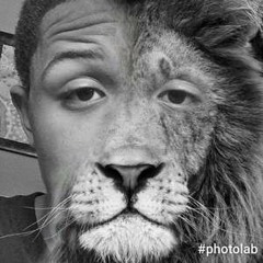 Timele$$ - Fuck Trump