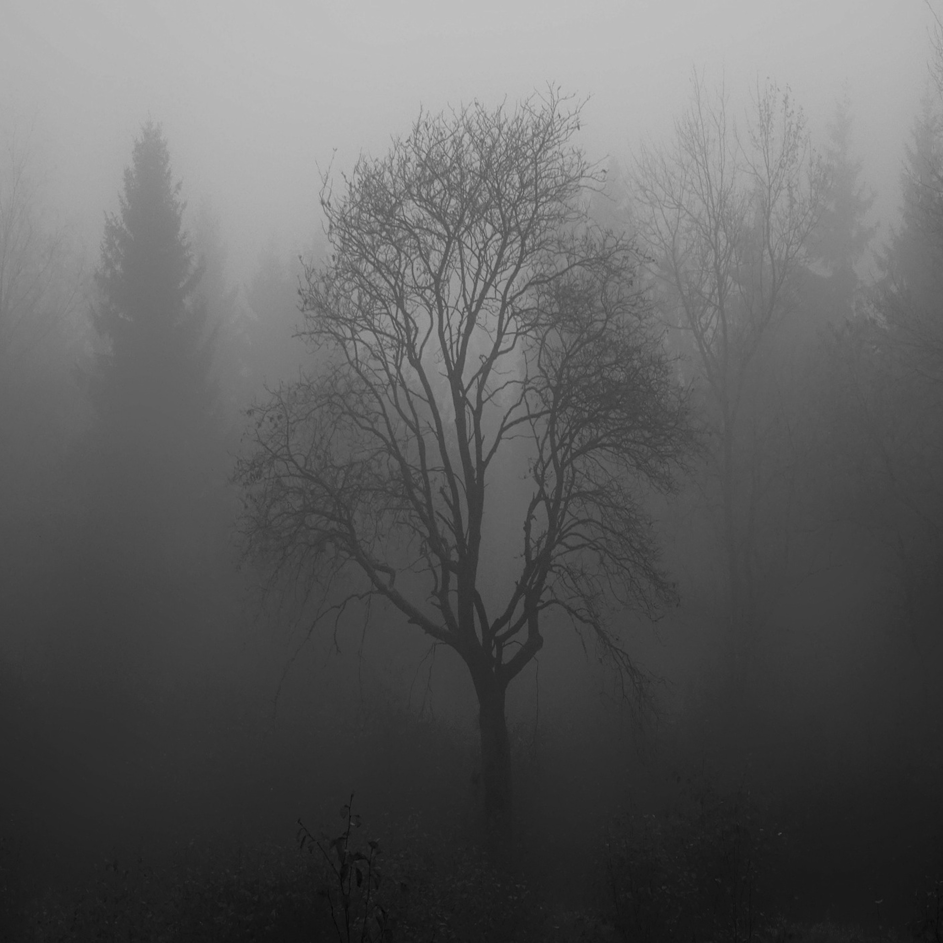 Páramo episode artwork