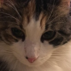 A Night Riding On The No Name Road