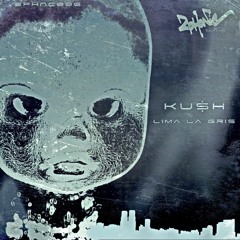 Ku$h - Kana Dub Dry / 2Phonic Recordings
