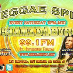 BOBBY ZION mix on 99x reggae spin show with blackroots sound
