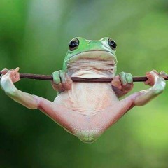 !!!!!!!!!!!!FunTaProg-/-Impro//////2k17ProgTrance