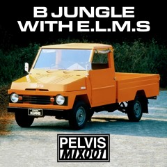 MIX001 by B JUNGLE WITH E.L.M.S.