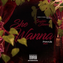 Buddiestunna - She Wanna