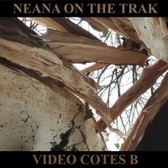 Video Cotes B