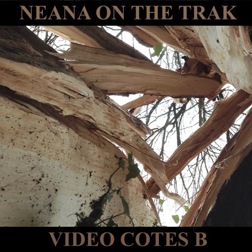 Video Cotes B