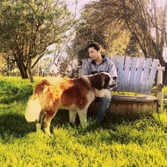 Jeek Idle - MellowStar