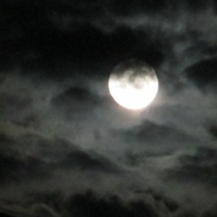 Techno de nuit