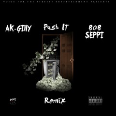 AK-GILLY Ft. 808 SEPPI - PUSH IT REMIX