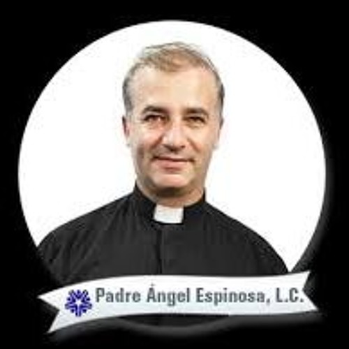 Stream Javier Salguero | Listen to Padre Angel Espinosa playlist online for  free on SoundCloud