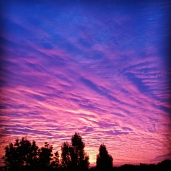 New morning_No Master_88 Bpm