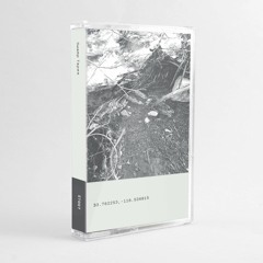 Swamp Tapes 007 V/A - Side B Snippets