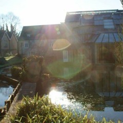 I find I have less to say (2017)