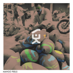 V3K - Mango Peels (Original Mix)