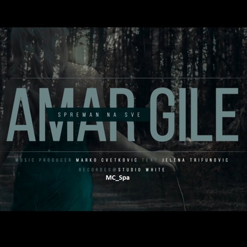 Amar Gile - Spreman Na Sve 2017