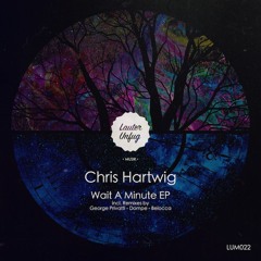 Chris Hartwig - Wait A Minute (Belocca Remix)