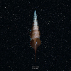 Premiere: Denis Rodd 'Famara' - Cochlea Music