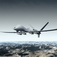 Autonomous Weapons