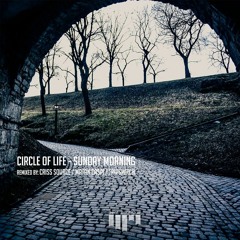 Circle Of Life - Sunday Morning (Matan Caspi Remix) [Beat Boutique Records] Preview