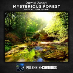 Dawid Jurzyk - Mysterious Forest (Original Mix)