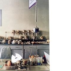 The Institute Of the Occult Arts Orchestra "Let's Get This Party Started" (The Passenger/Primitiva)