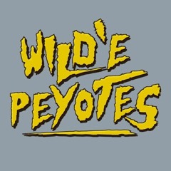 WILD'E PEYOTES - Bin Day
