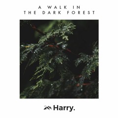 A Walk In The Dark Forest