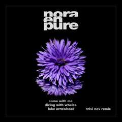 Nora En Pure - Come With Me x Diving With Whales x Lake Arrowhead (Trivi Nev Remix)