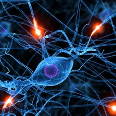 Little Brain - 165 bpm (PRV)