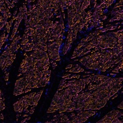 In Case You Reach The End Of The World (part 3)