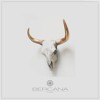 Lannka Late March Ritual DJ mix artwork - Electronic music tracklist cover image