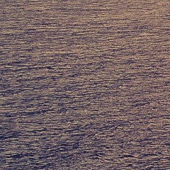 Everything Is the Light