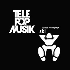 TELEPOPMUSIK - Into Everything (SKL Remix)