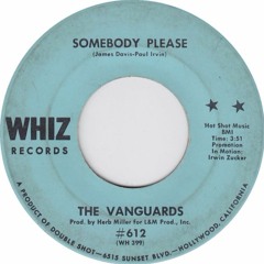 The Vangaurds - Somebody Please