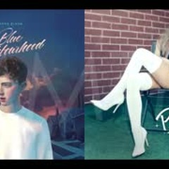 WILD PROBLEMS (XXYYXX Remix)   Troye Sivan, Ariana Grande & Iggy Azalea Mashup!