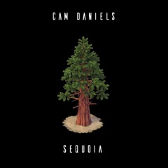 Sequoia (Original Mix) [free download]