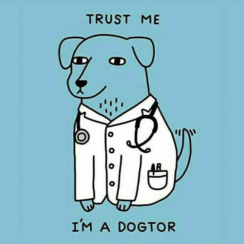 IT S ALL IN YOUR HEAD