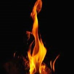 (NEW)LEVITATING PROD.2 Piece