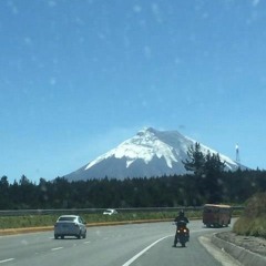 Oscar De Leonardo Dicaprio