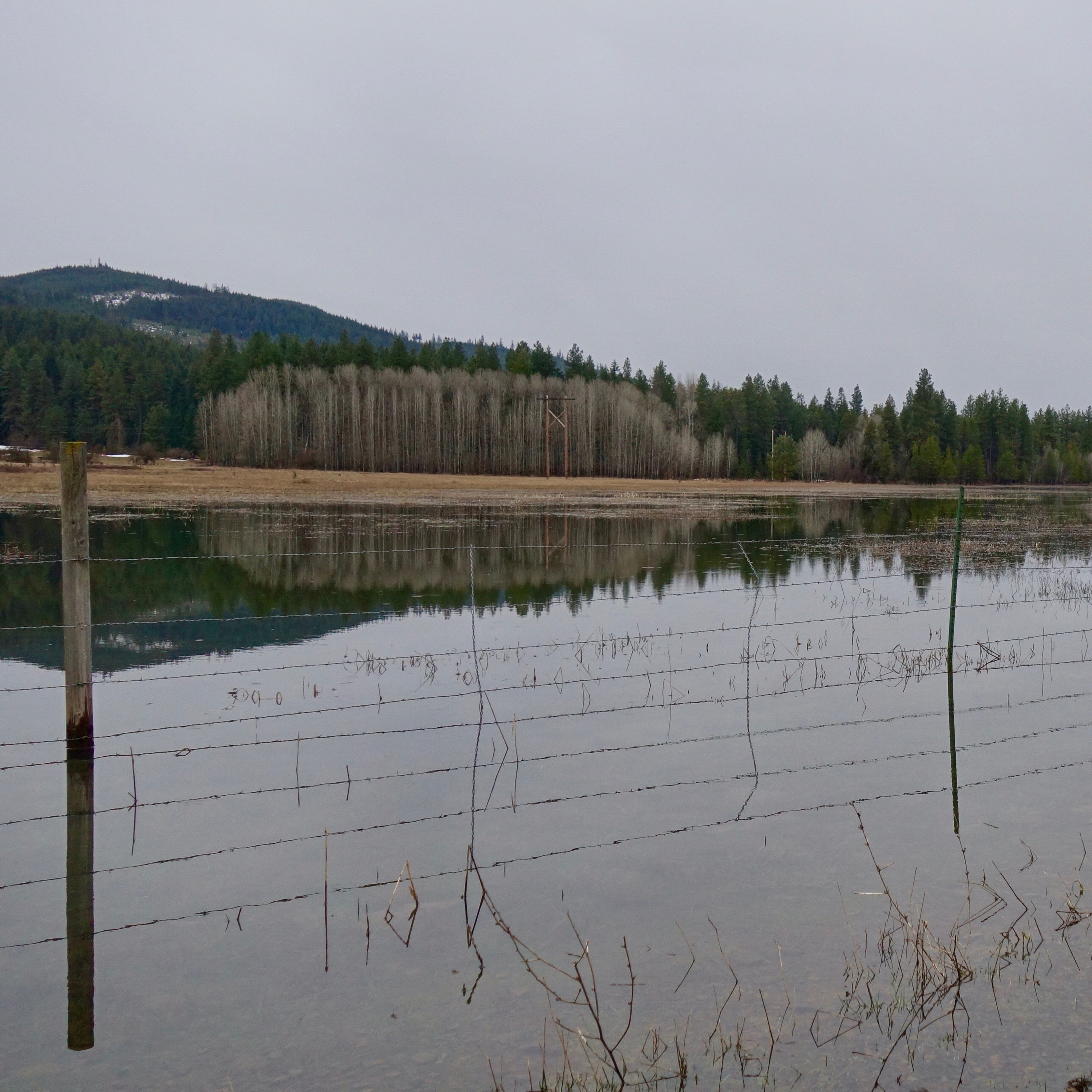 Northwest Soundscapes