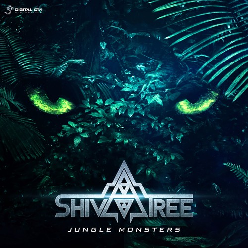 Shivatree - Heavy Stuff (Preview) | out now