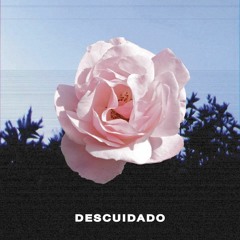 SLACKIN BEATS - DESCUIDADO