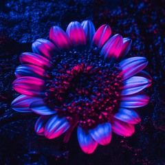 Ki:Theory - Bringing Me Down (feat. Ruelle) [Bedtimes Remix]