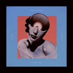 Ki:Theory - Bringing Me Down (feat. Ruelle) [Liam Back Remix]