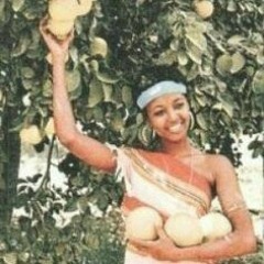 Maxamed Cabdi Yusuf & Saynab Baxsan-Waxbo ma noqonin