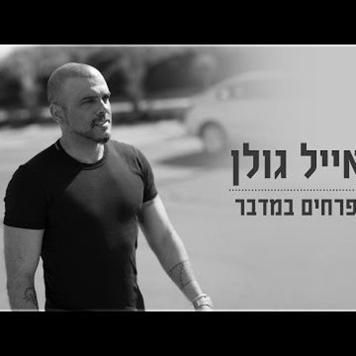 אייל גולן - פרחים במדבר