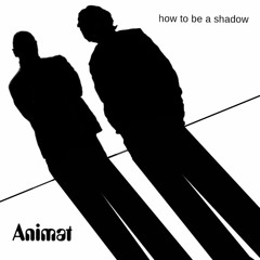 How To Be A Shadow