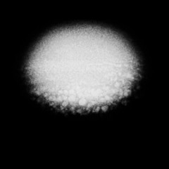 Twizit X Crossroad25