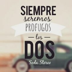 SIGNOS - Profugos MIX 24 - 03 - 17