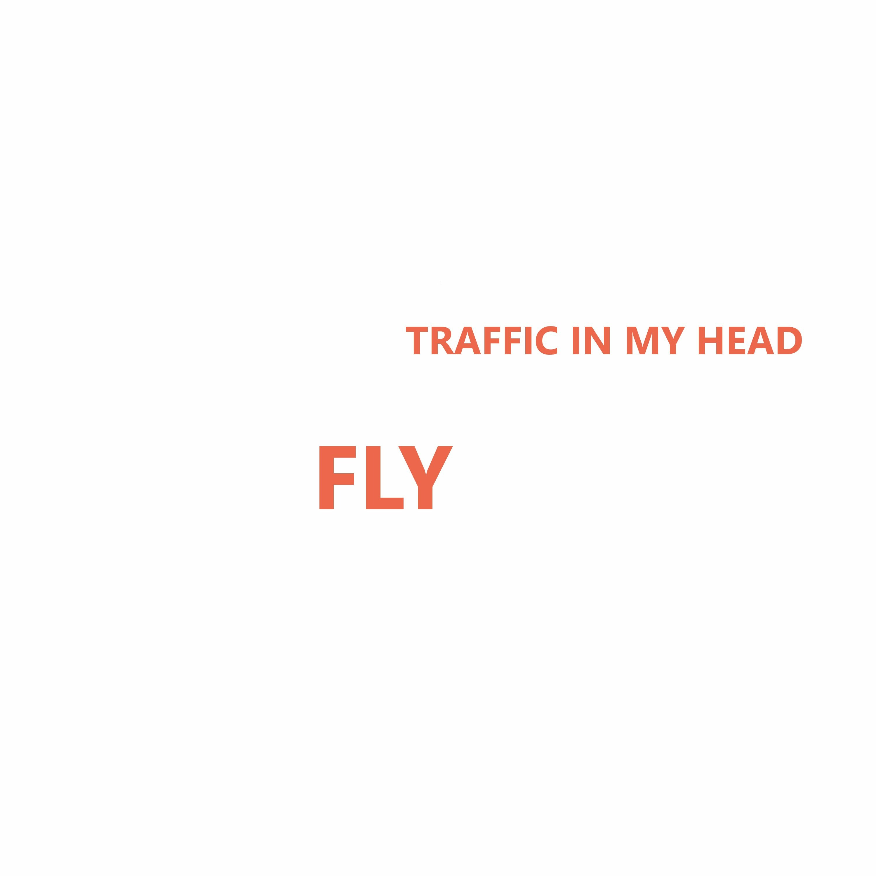 Fly episode artwork